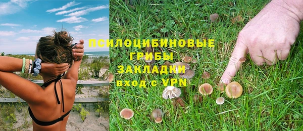 крисы Лихославль